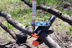 qx1_19b